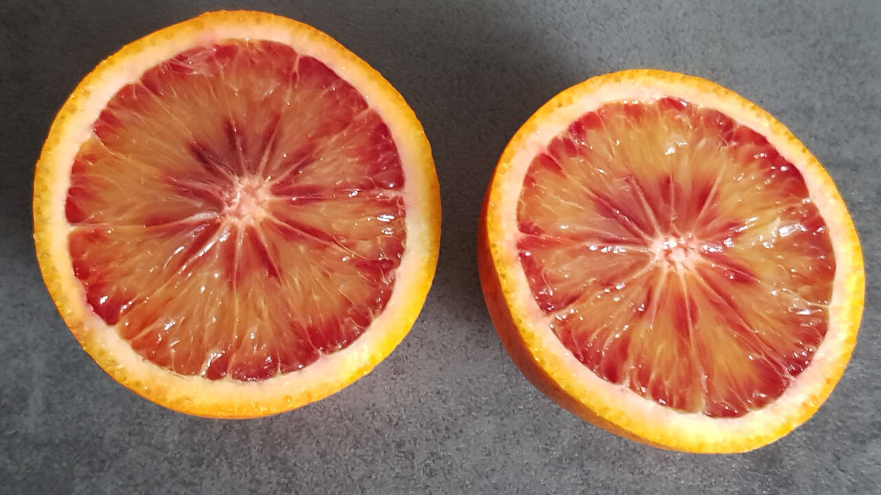 Sanguinello Orangen aufgeschnitten mit dem leuchtenden orange-roten Fruchtfleisch